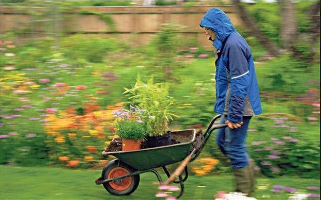 Britz'nPieces Gardening Services