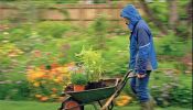 BritznPieces Gardening Services