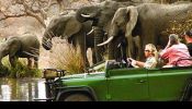 iFly 12 Day Kruger to Cape Town Safari Safari Deals