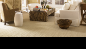 Hire Professional Carpet Cleaning Melbourne Services