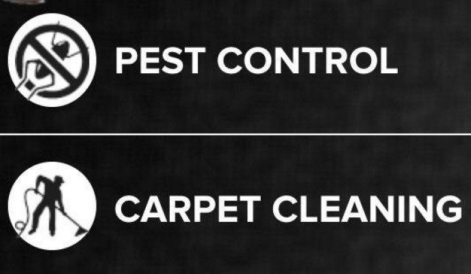 Excellent Price 30% Discount Carpet Cleaning And Pest Control