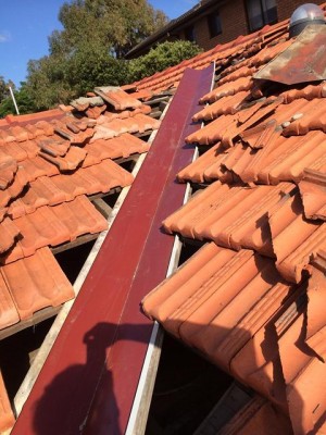 Reliance Roof Restoration Sutherland  0403 746 321, Roof cleaning, painting, repairs & more