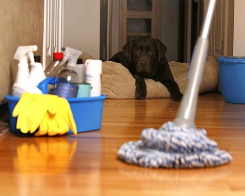 YS Cleaning Services- Your Friendly Professional Cleaners