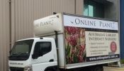 Online plants Melbourne