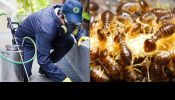 Eco Friendly Pest Control Brisbane
