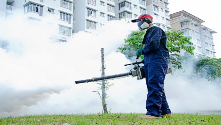 Why Choose Real Pest Control Melbourne?